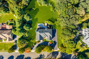  Photo 162
