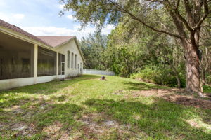 17217 Keely Dr, Tampa, FL 33647, USA Photo 23