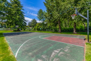 Basket Ball Courts