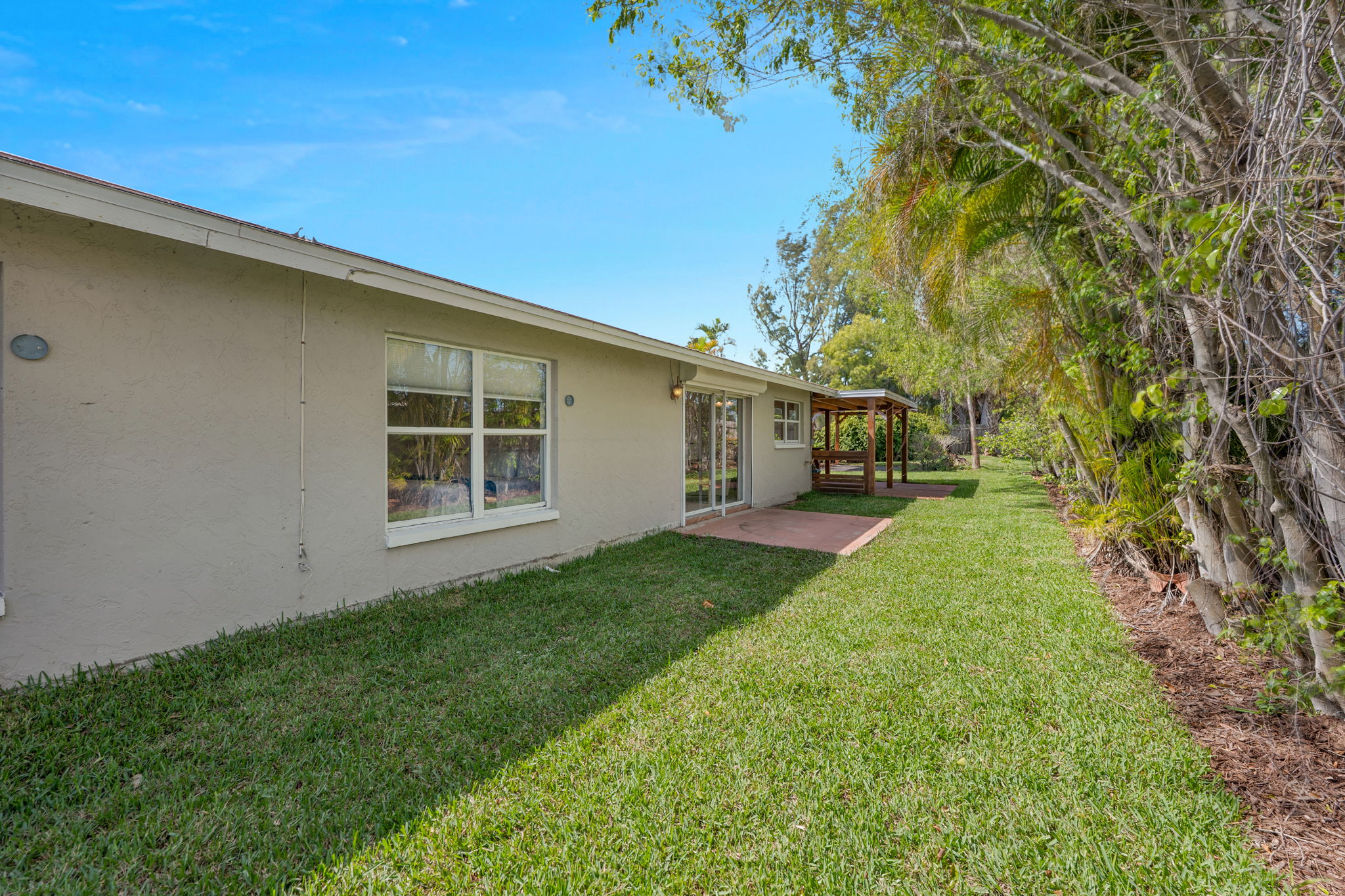 Backyard - Rear Elevation