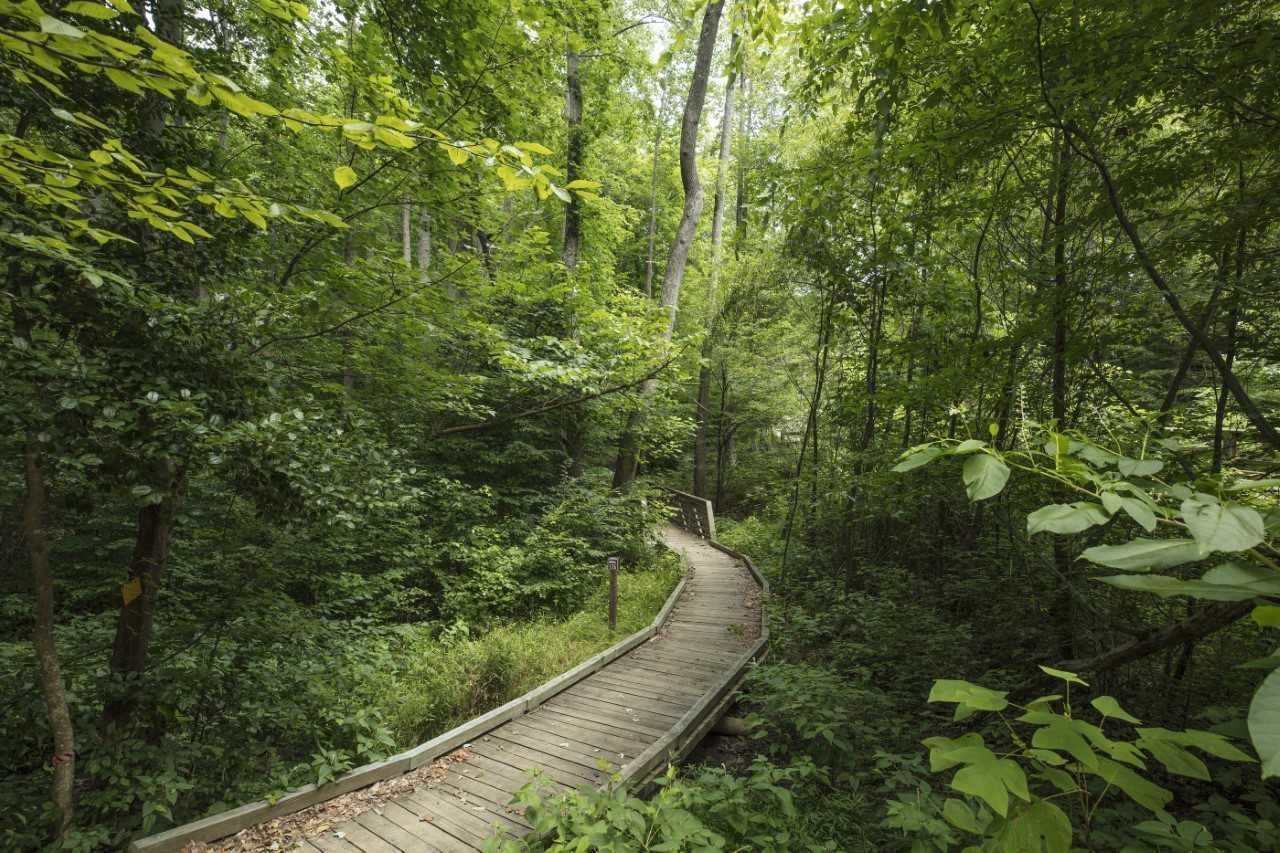 over 9 miles of trail system