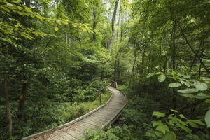 over 9 miles of trail system