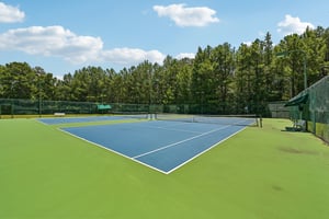 Lake Hardwood Dr-2807-902.jpg