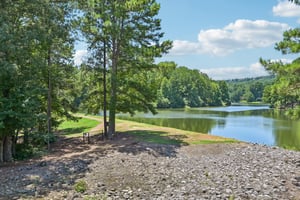 Lake Hardwood Dr-2807-909.jpg