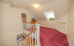  Photo 68