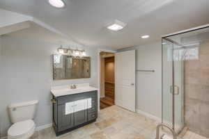 Lower Level - Bathroom