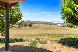 Patio View