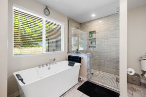 Primary Bathroom (2)