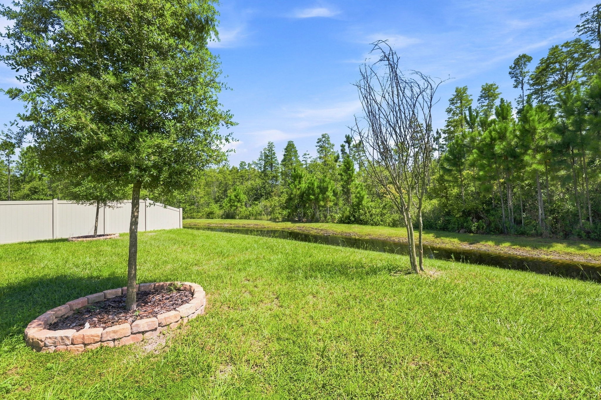 Backyard1