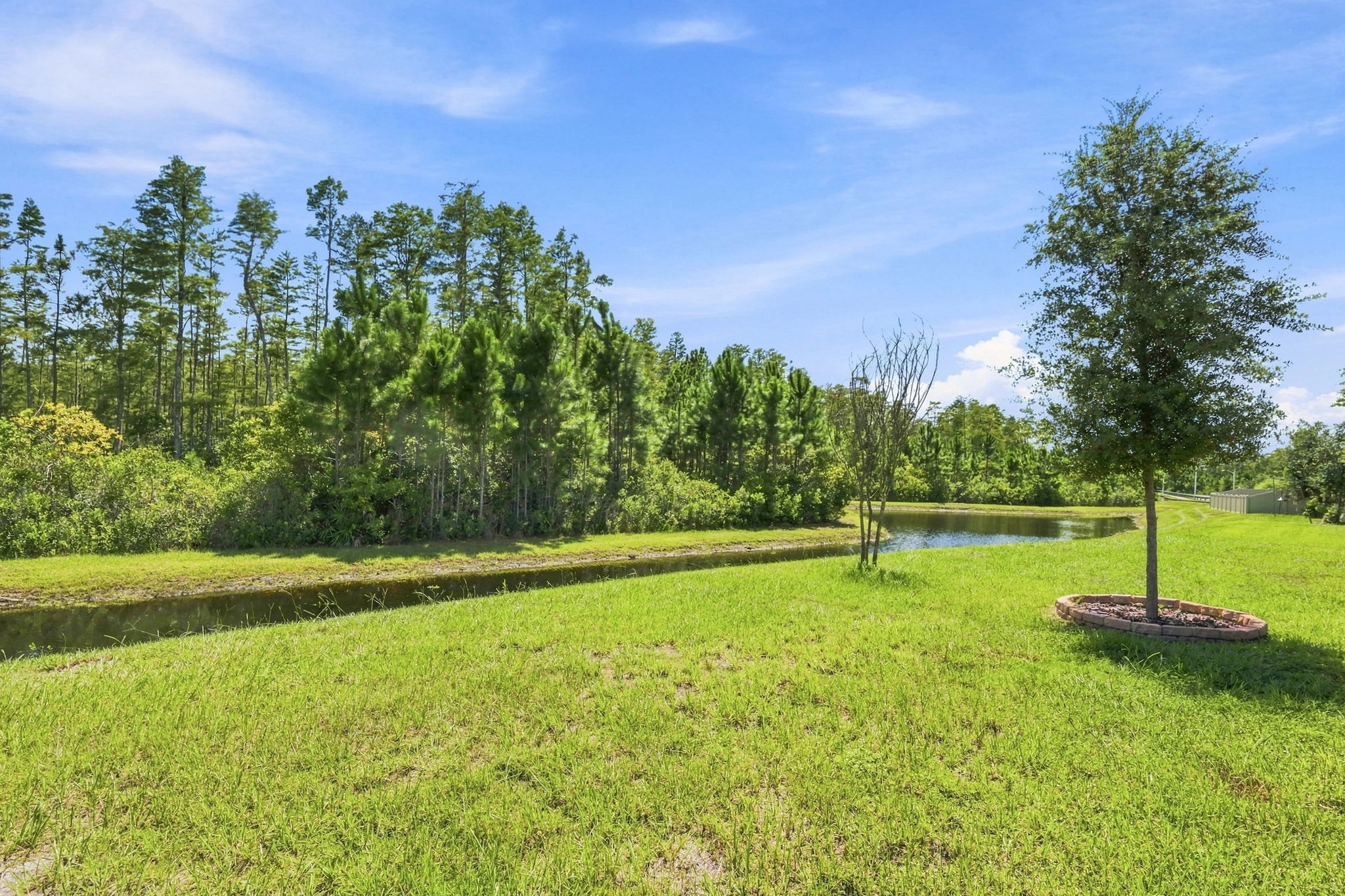 Backyard3