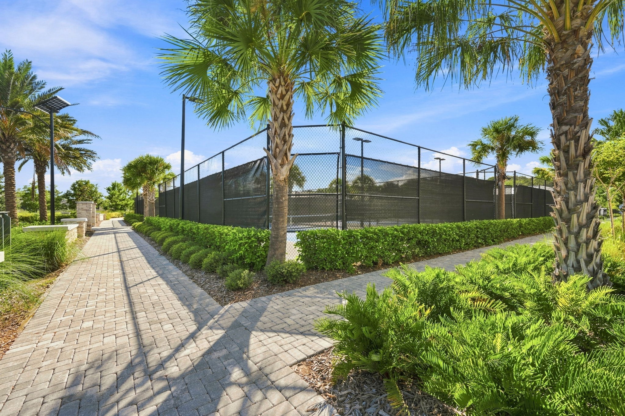 54-Pickleball