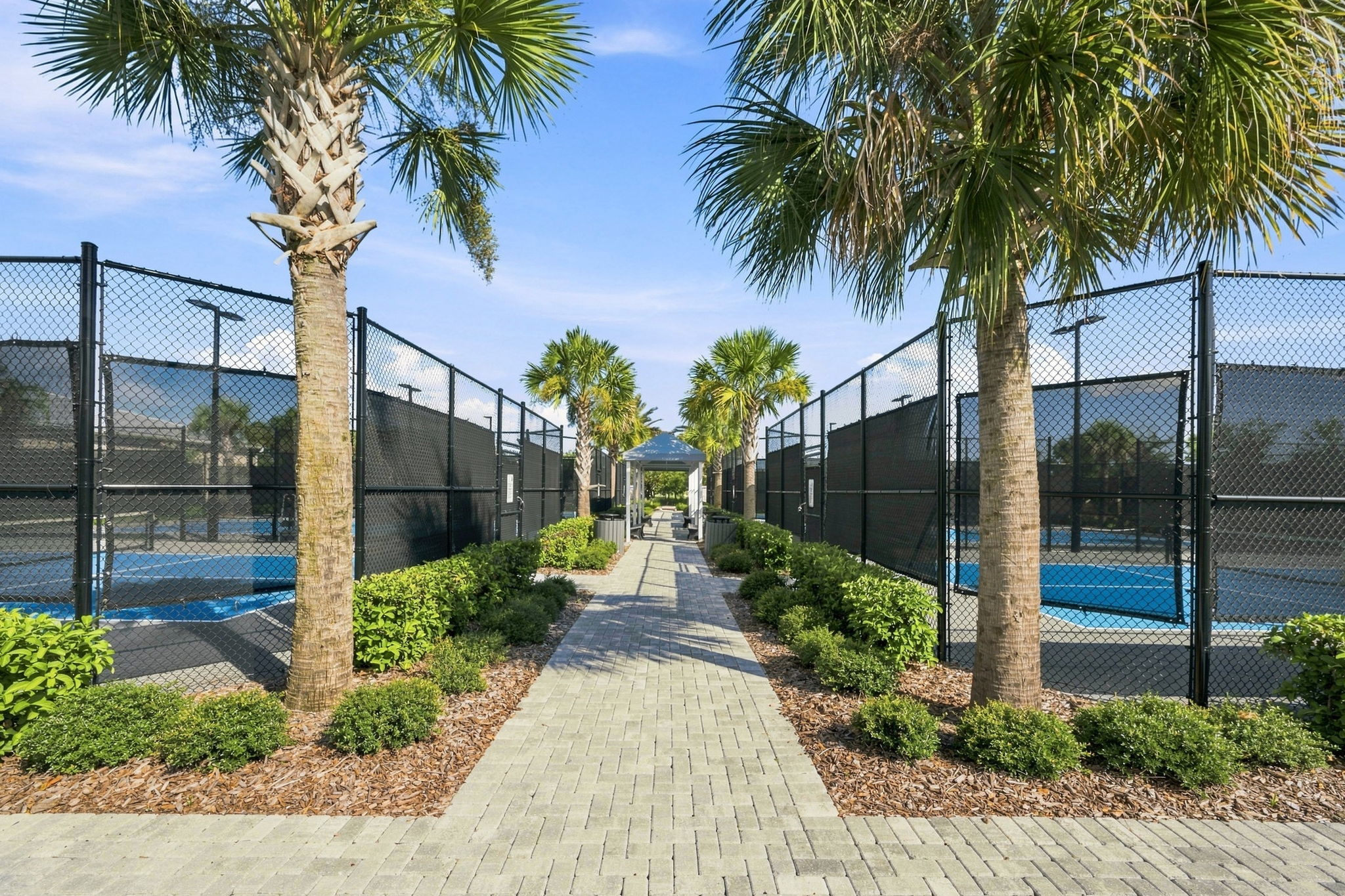 56-Pickleball