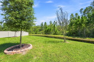 Backyard1