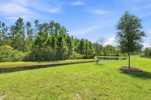 Backyard3