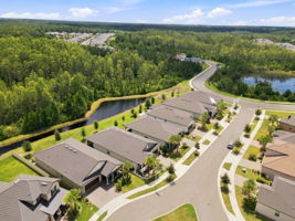 Aerial (6)