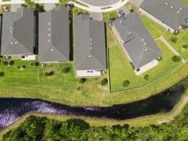 Aerial (14)