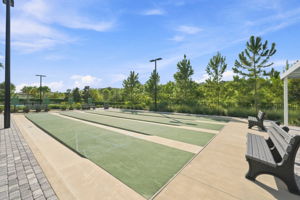 50-Shuffleboard