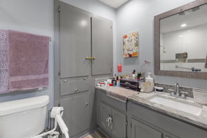 Primary vanity area