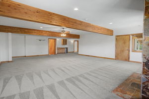 Basement Family Room