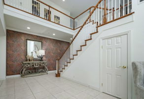 Blue_Spruce_28
