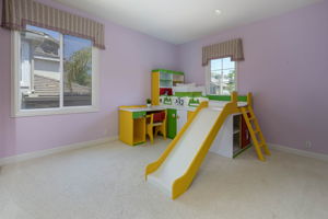 Blue_Spruce_49