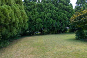 Large Fenced Backyard