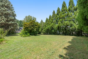 Oversized Yard