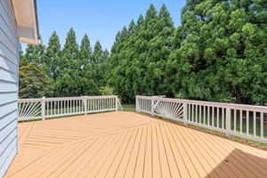 Back Deck