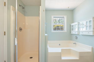 Primary Bath with Separate Tub & Shower