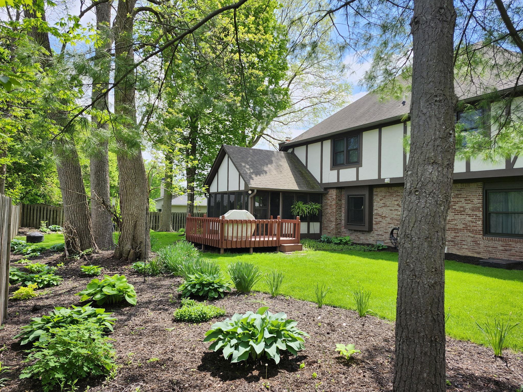 backyard3