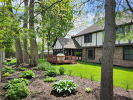 backyard3