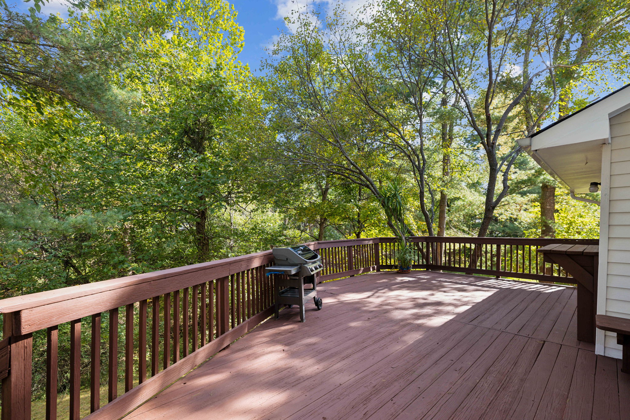 Expansive Deck