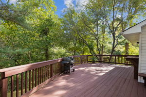 Expansive Deck