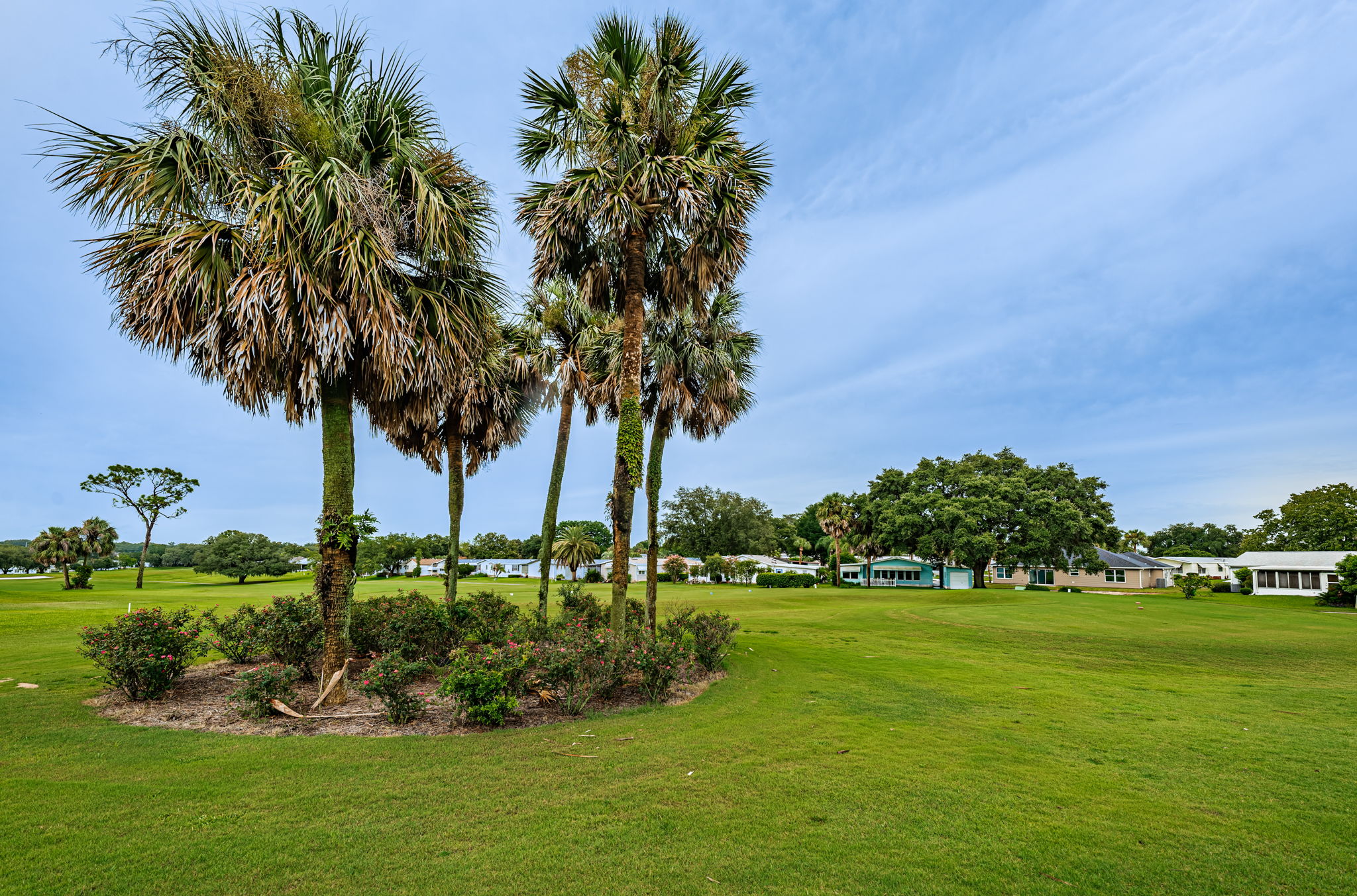 30-Orange Blossom Hills Golf Course