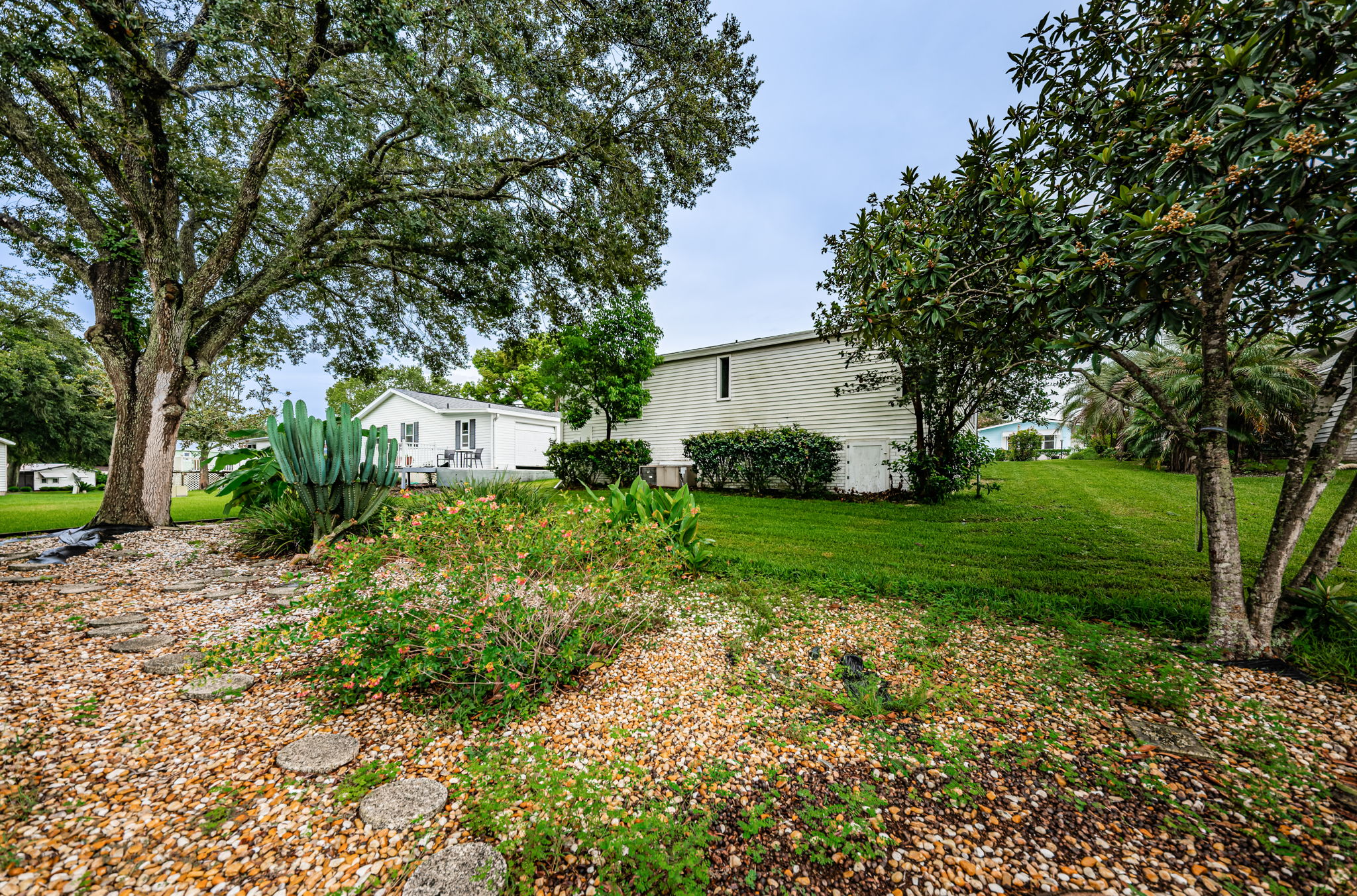 Backyard5-3