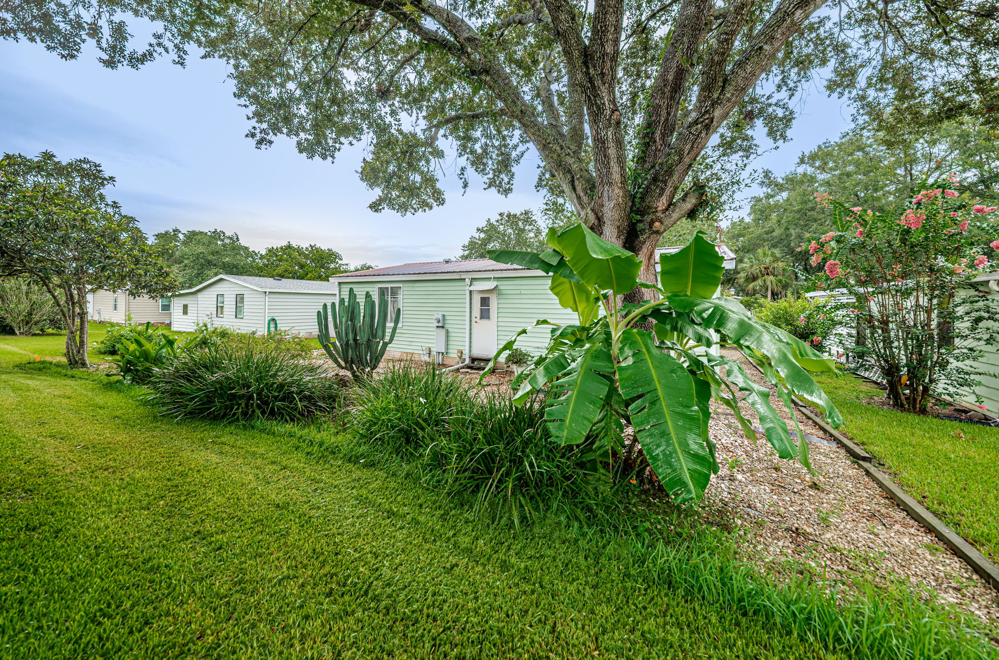 Backyard2-3