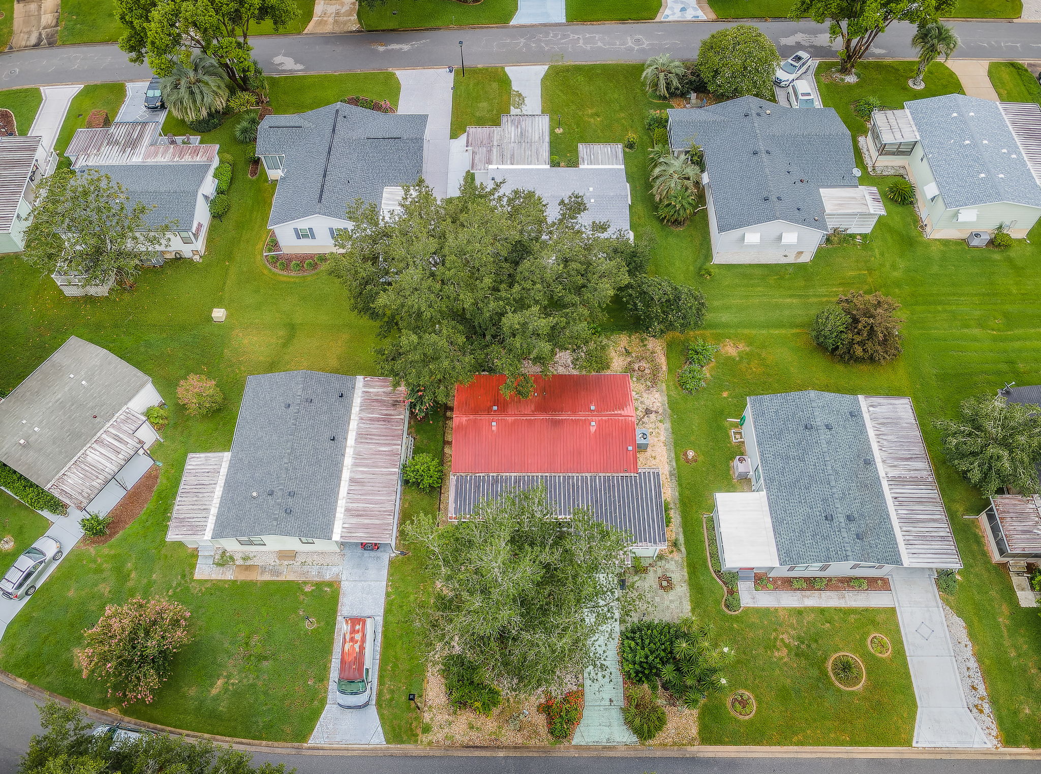 Aerial (16)