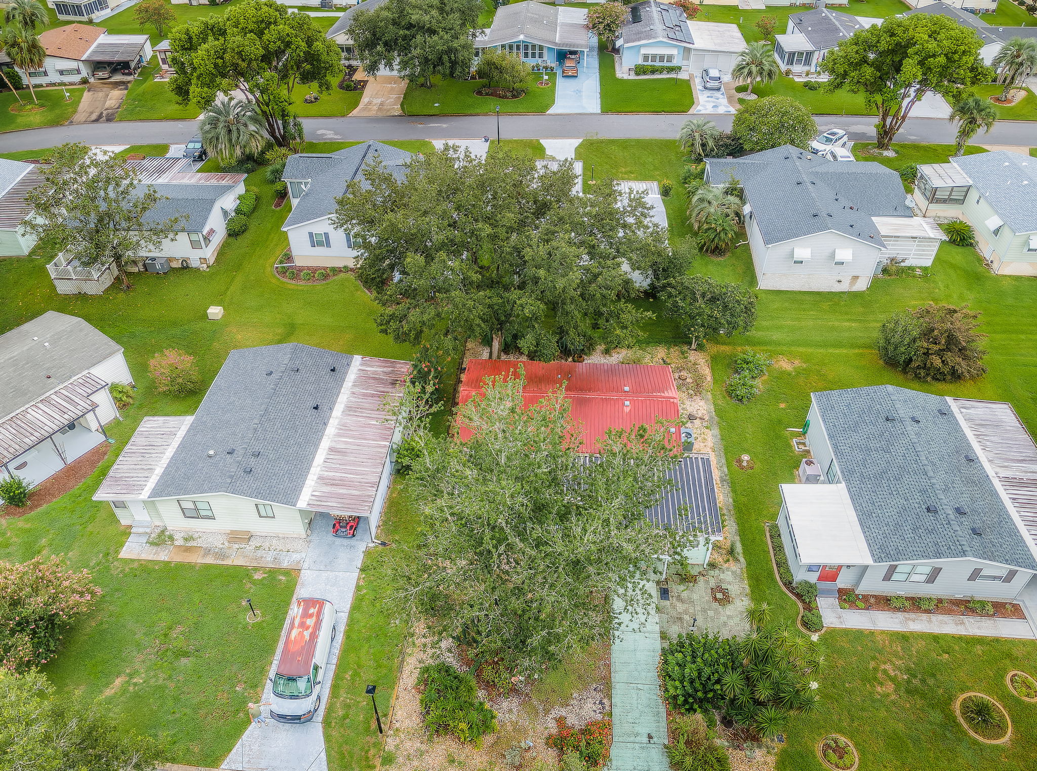 Aerial (7)