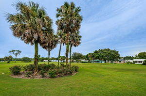 30-Orange Blossom Hills Golf Course