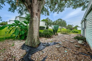 Backyard1-3