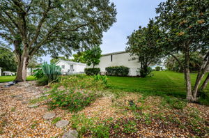 Backyard5-3