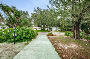Frontyard