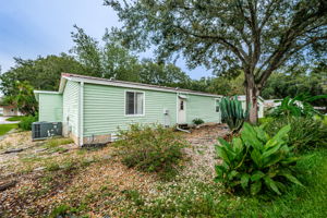 Backyard4-3