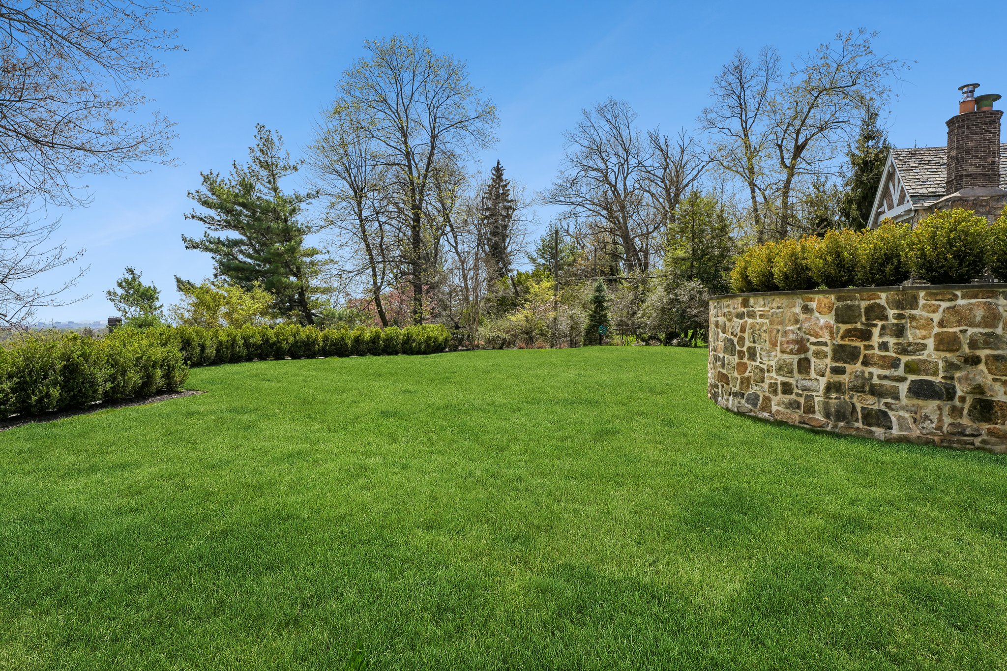 Expansive Green Space