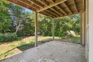 Freeman Forest Dr-L2109-046