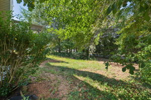 Freeman Forest Dr-L2109-048