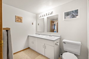 173 Victor Lewis Dr, Winnipeg, MB R3P 2A1, Canada Photo 22