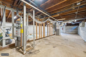  Photo 73