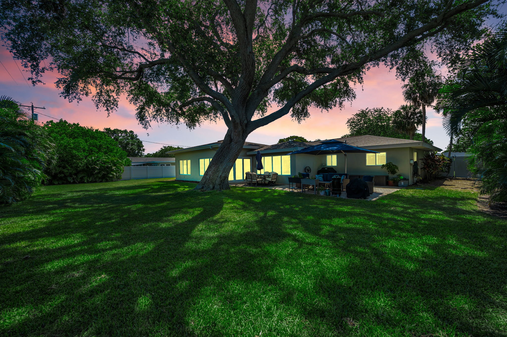 Backyard8