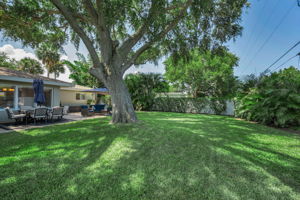 Backyard6